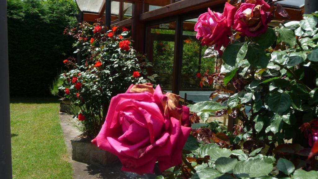 Logis La Rose Des Vents 호텔 볼빅 외부 사진